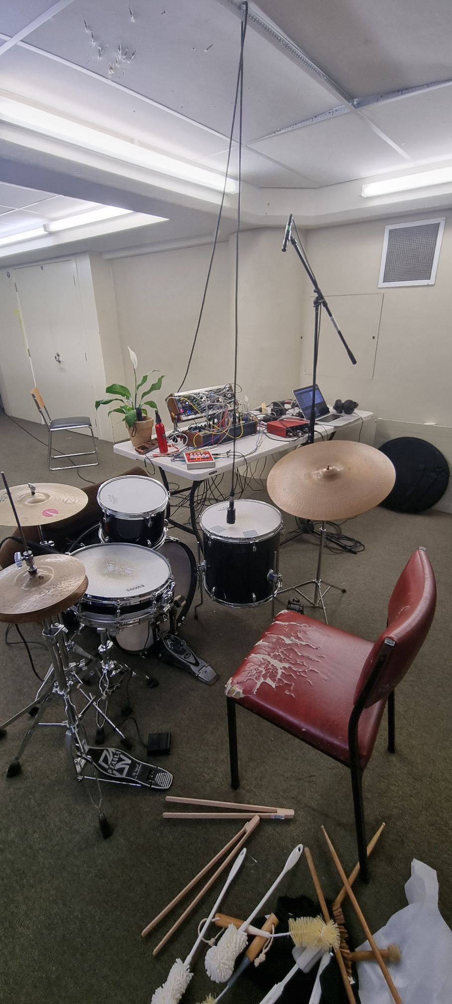 Modular synth, Peace Lily and drum kit set up for recording.