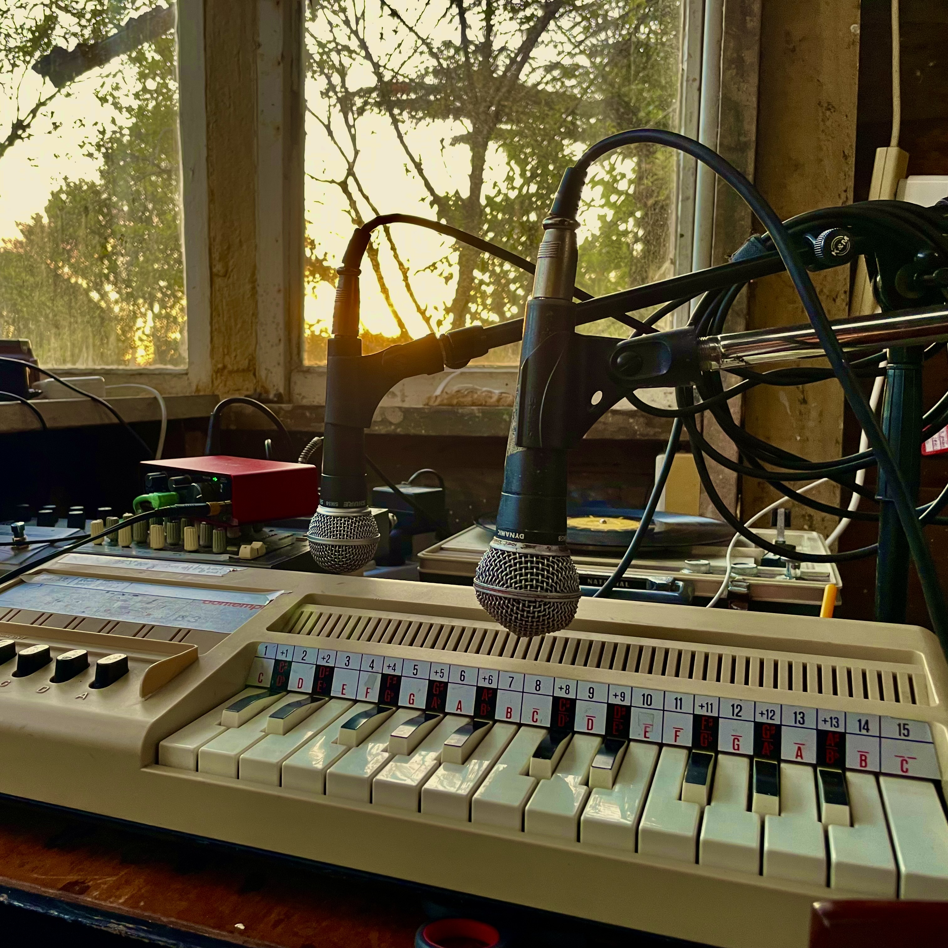 Keyboards and microphones